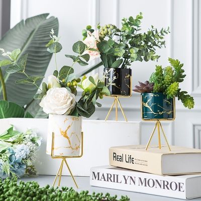 Home Garden Decorative Flower Pots with Ceramic Handmade Design and Metal Gold Stand in Chrome Plated Finish