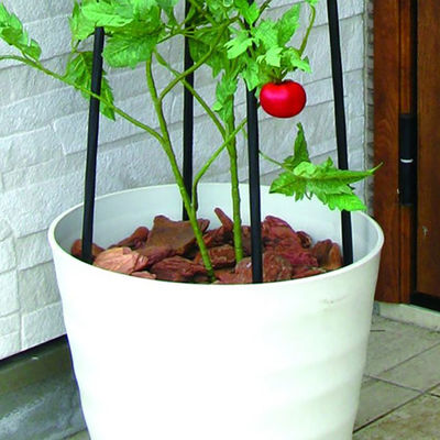 PE Coated Four-Corner Flower Tower Cucumber Climbing Rack Triangular Clematis for Home Use